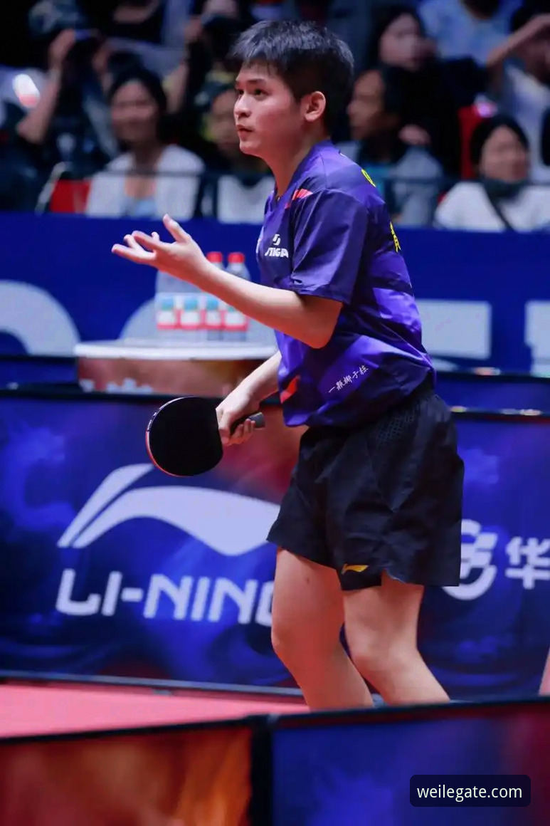 微乐官网注册登录 从林诗栋3-0横扫英格兰,看中国男乒如何在微乐平台展现顶级竞技状态?
